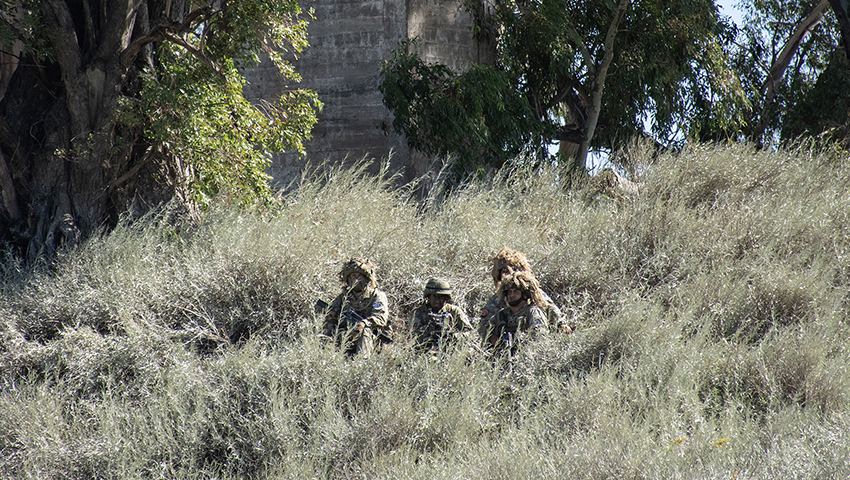 Campaña del Batallón de Infantería de Marina Nº 2